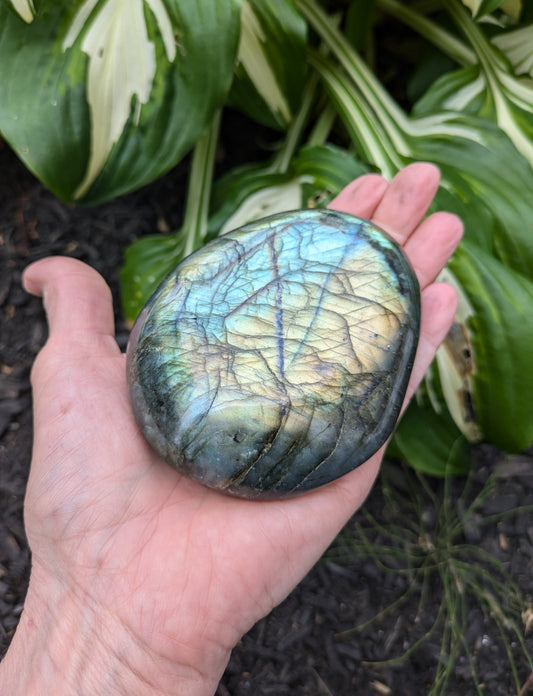 Labradorite Palm Stone XL from Madagascar