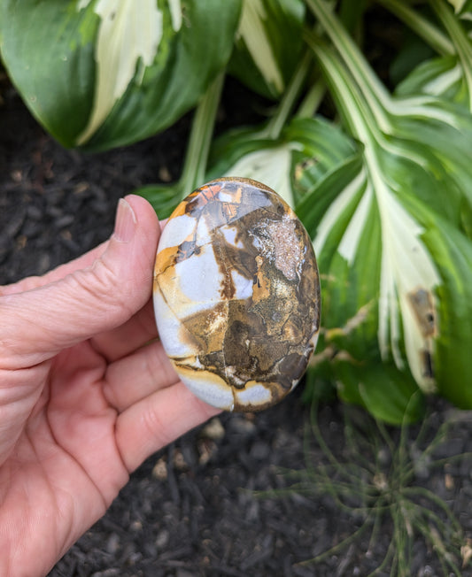 Jasper Palm Stone from India