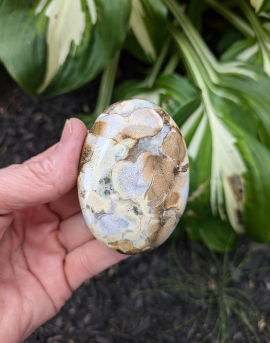 Jasper Palm Stone from India