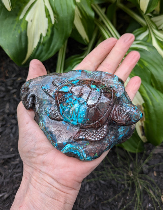 Chrysocolla and Hematite Sea Turtle from India