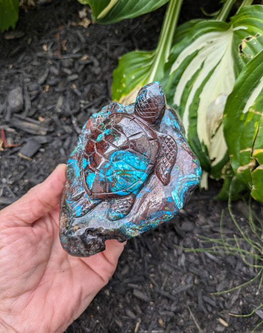 Chrysocolla and Hematite Sea Turtle from India