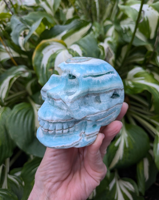 Blue Aragonite Skull Carving from Pakistan