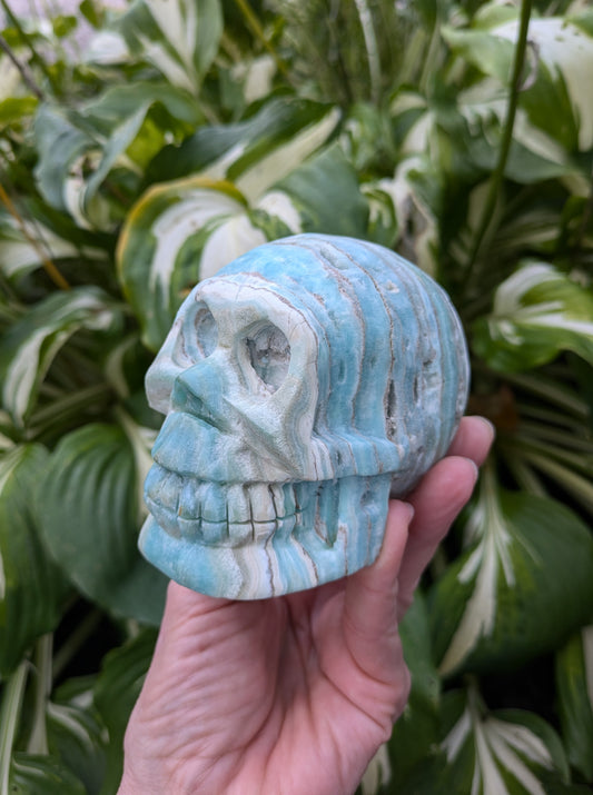 Blue Aragonite Skull Carving from Pakistan