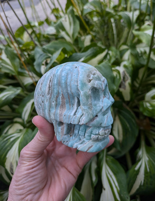 Blue Aragonite Skull Carving from Pakistan