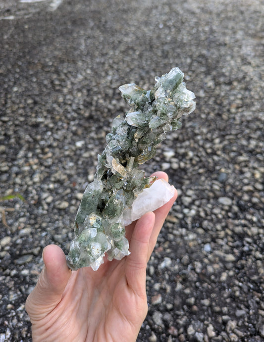 Quartz with Clinochlore from Pakistan