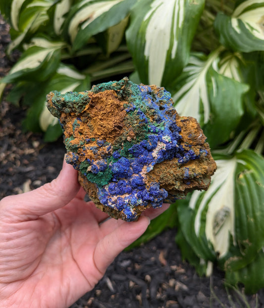 Azurite and Malachite from Morocco