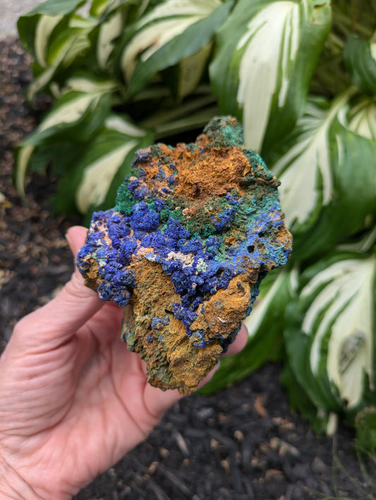 Azurite and Malachite from Morocco