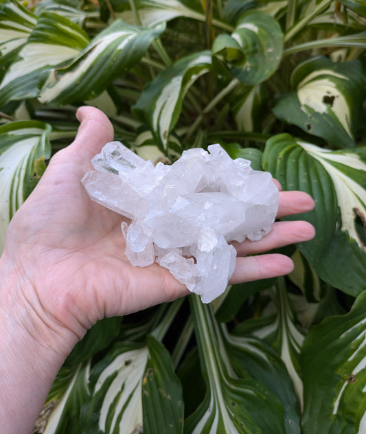 Quartz Cluster from Brazil