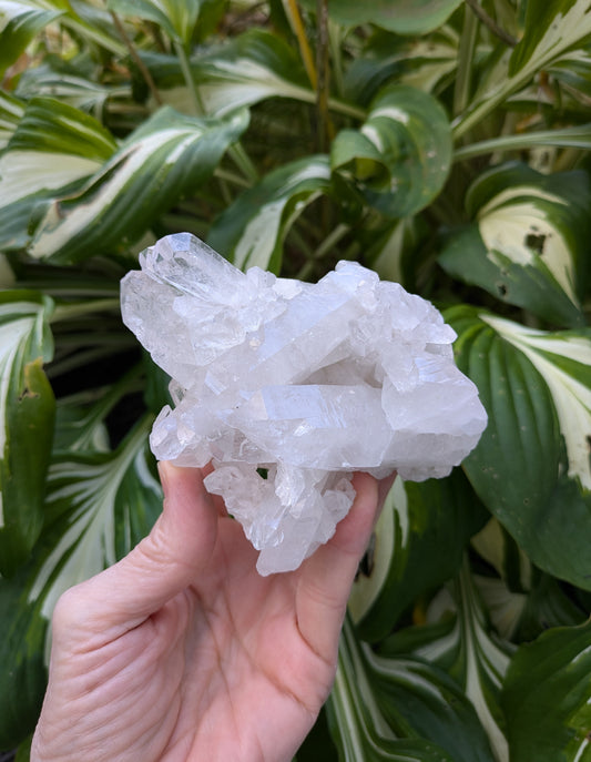 Quartz Cluster from Brazil