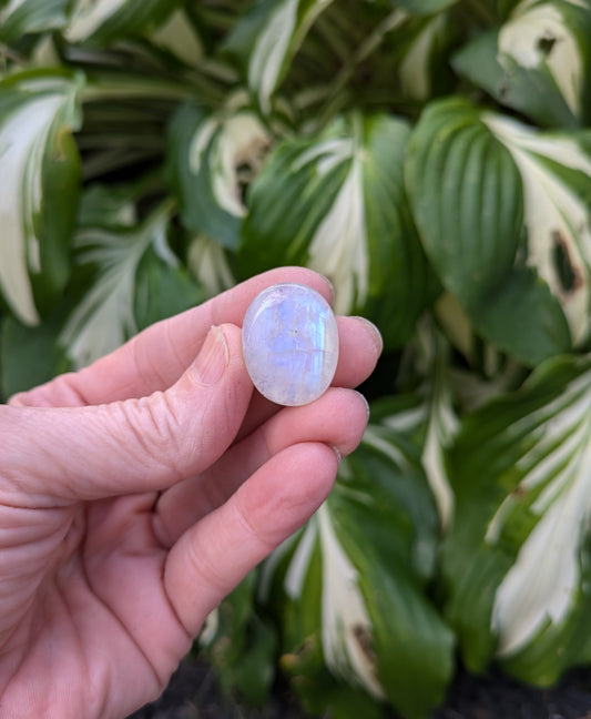 Rainbow Moonstone from India