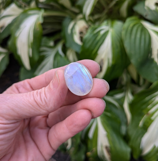 Rainbow Moonstone from India