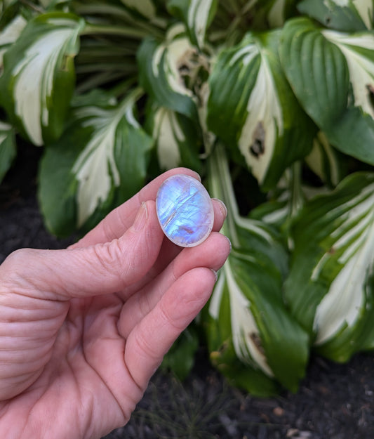 Rainbow Moonstone from India