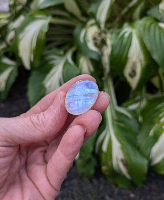 Rainbow Moonstone from India