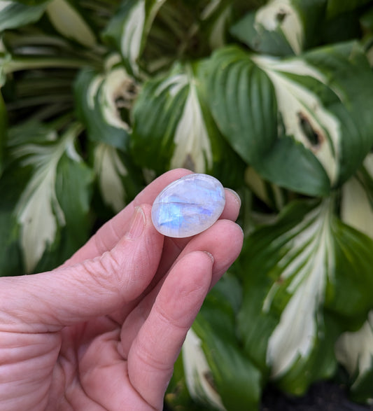 Rainbow Moonstone from India