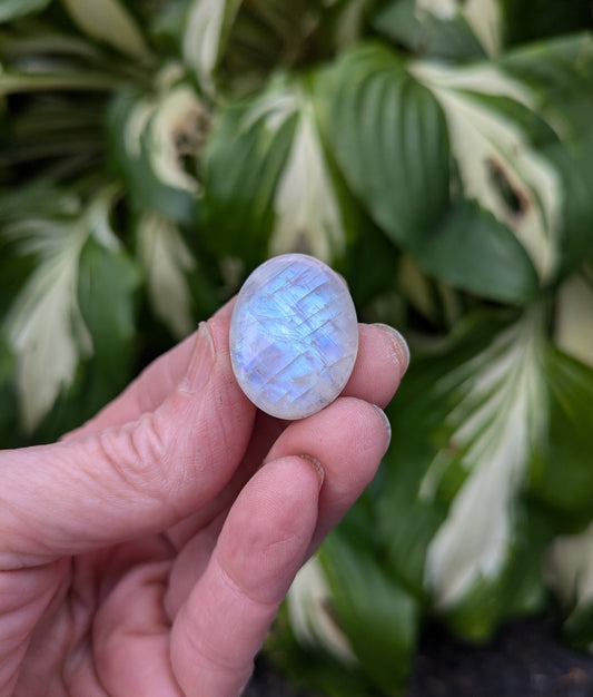 Rainbow Moonstone from India