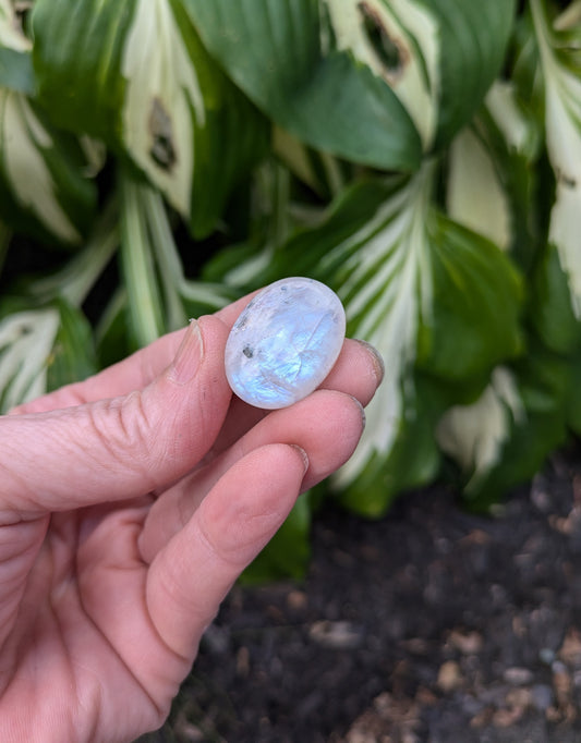 Rainbow Moonstone from India