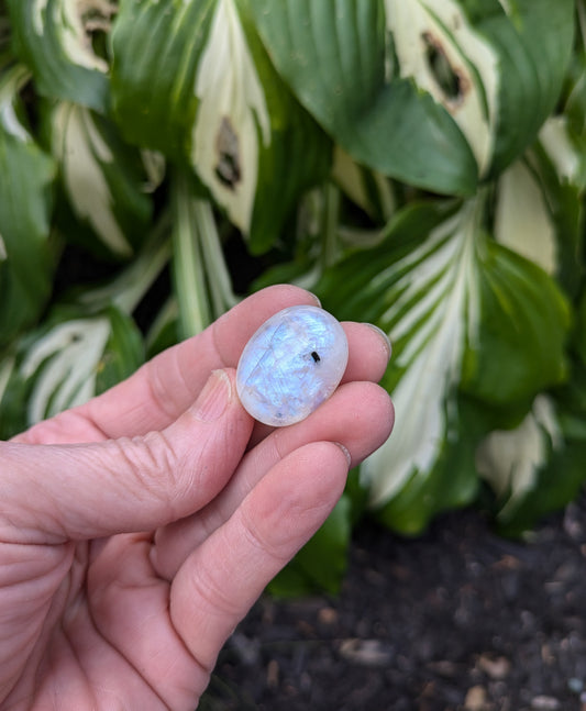 Rainbow Moonstone from India