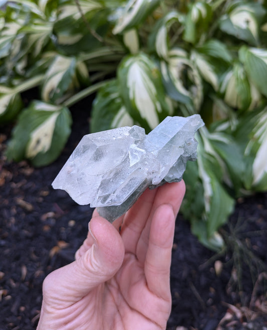 Himalayan Quartz Cluster with Clinochlore from Himachal Pradesh, India