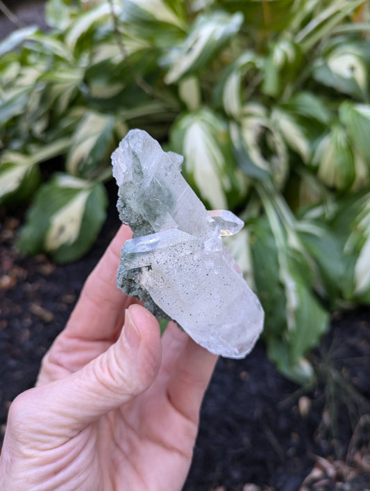 Himalayan Quartz Cluster with Clinochlore from Himachal Pradesh, India