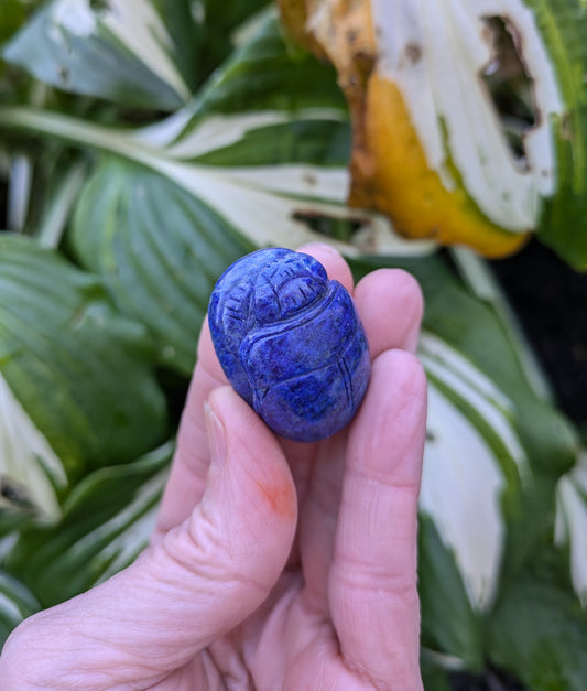 Lapis Lazuli Scarab Beetle Carving from Pakistan