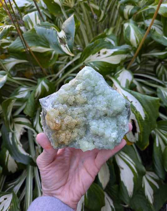 Prehnite from Morocco