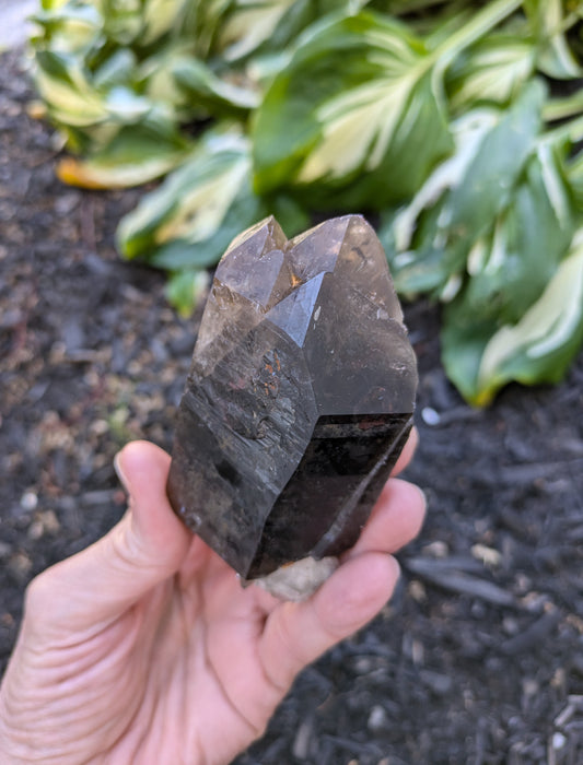 Smokey Citrine from Diamantina, Brazil