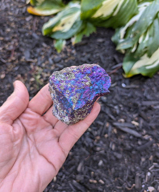 Bornite (Peacock Ore) from Mexico