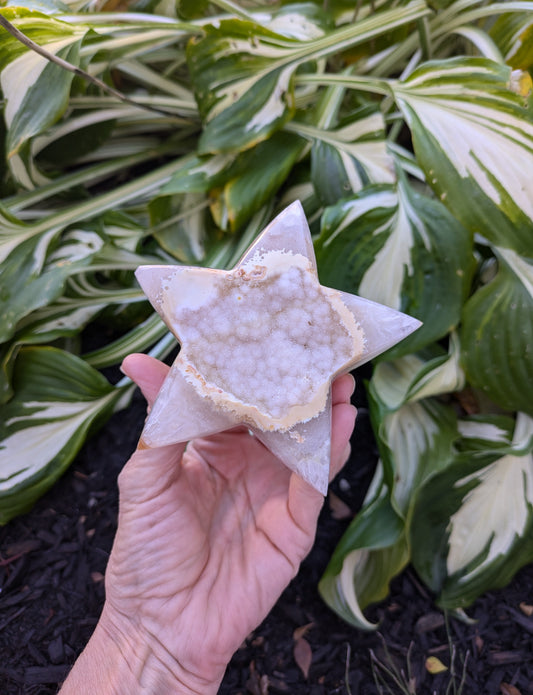 Agate and Quartz Drusy Star from Brazil