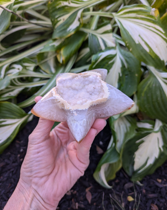 Agate and Quartz Drusy Star from Brazil