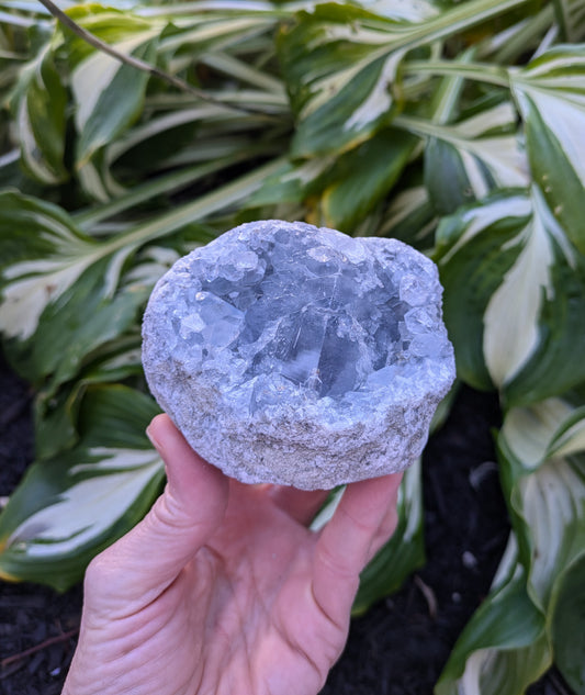 Celestite Geode from Madagascar