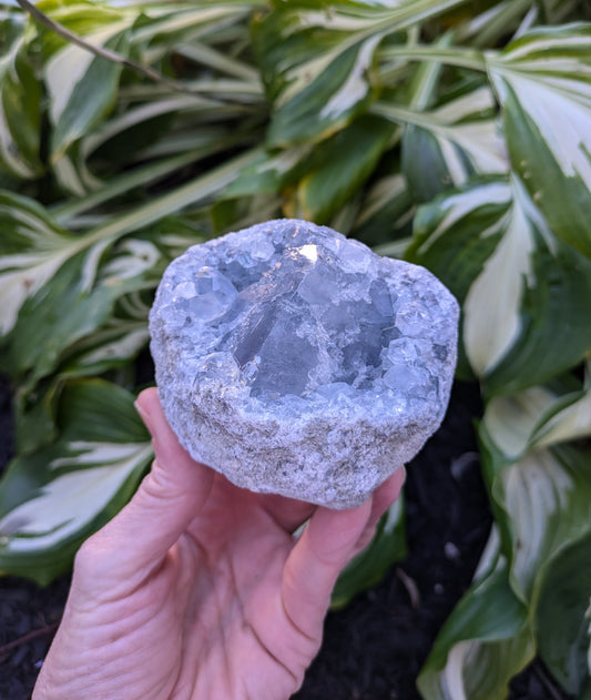 Celestite Geode from Madagascar