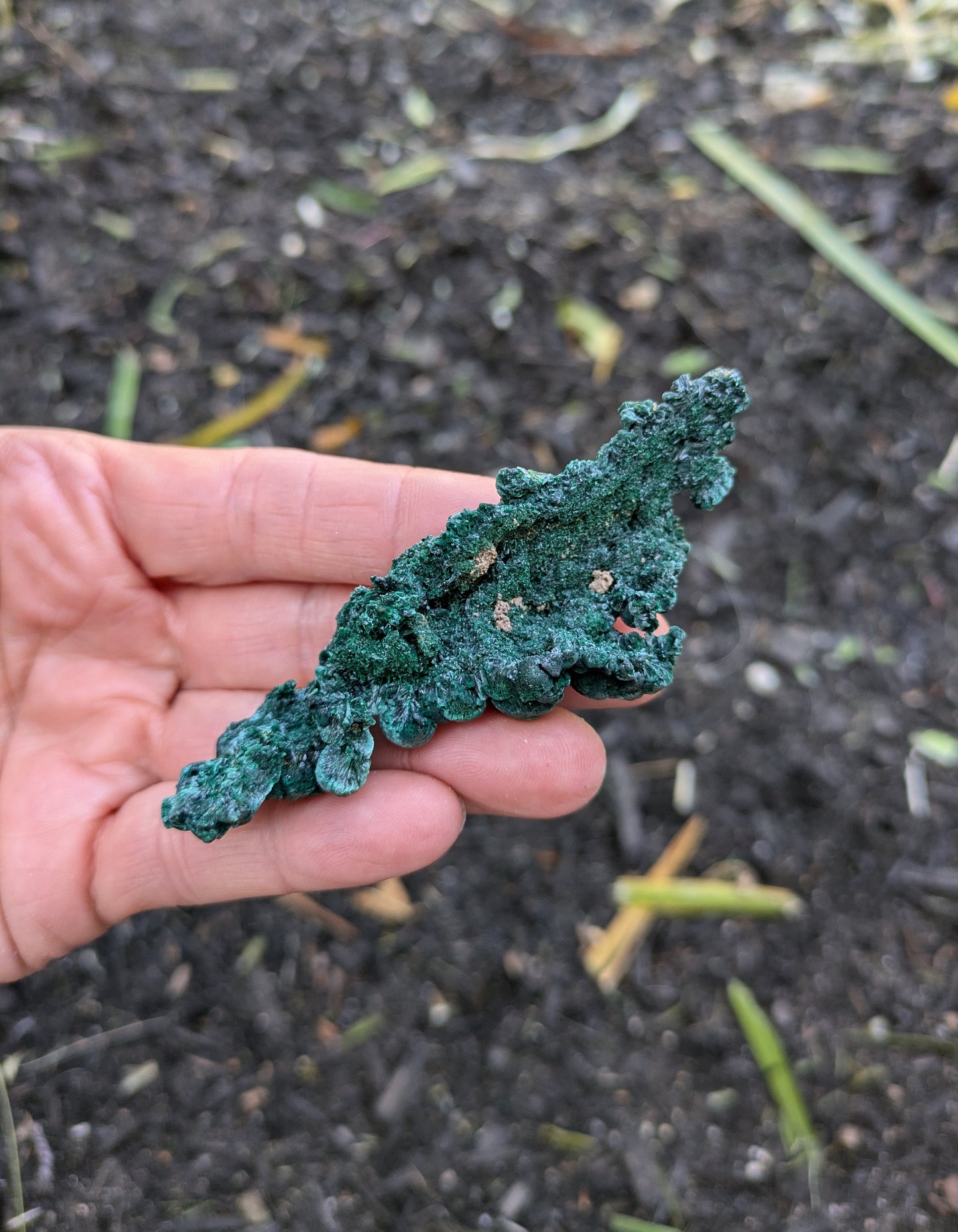 Malachite from Congo