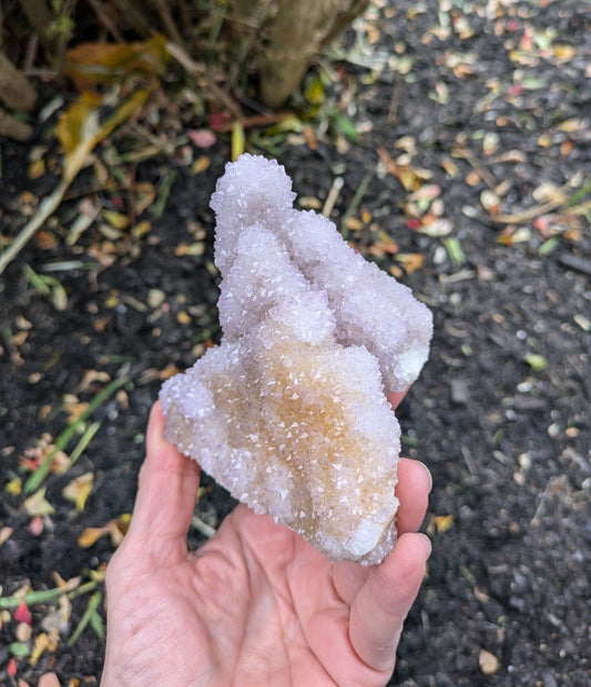 Spirit Cactus Quartz from Rep. South Africa