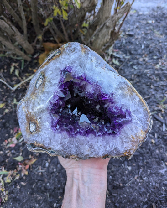 Grape Amethyst Geode from Brazil