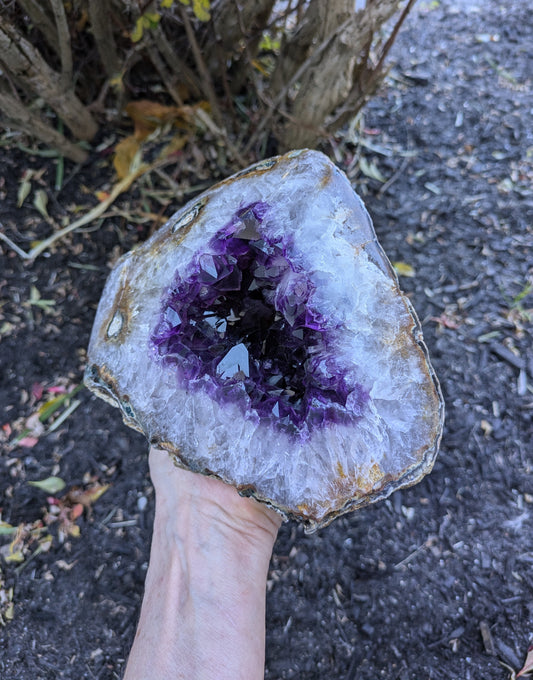 Grape Amethyst Geode from Brazil