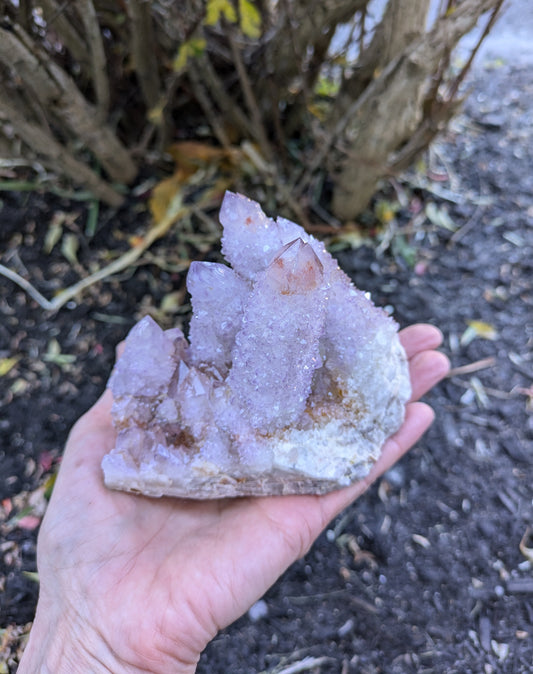 Spirit Cactus Quartz from Rep. South Africa