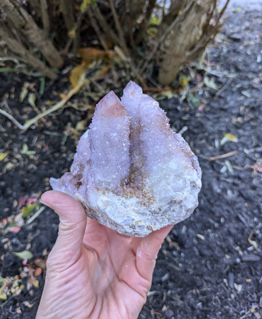 Spirit Cactus Quartz from Rep. South Africa