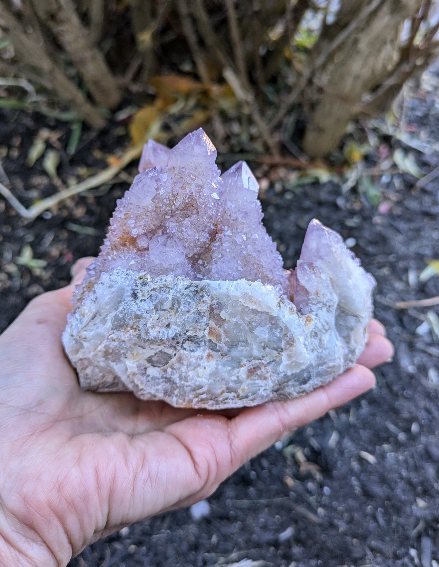 Spirit Cactus Quartz from Rep. South Africa