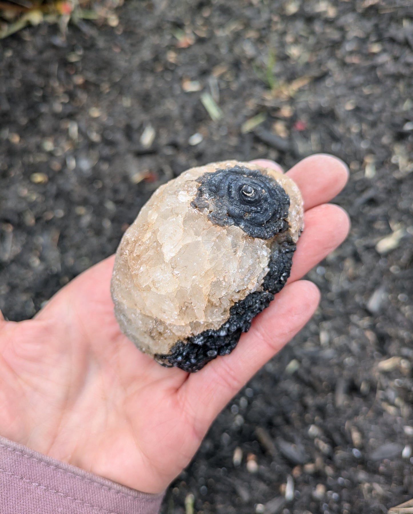 Agate Geode from Rio Grande do Sul, Brazil