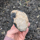 Agate Geode from Rio Grande do Sul, Brazil