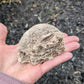 Agate Drusy Geode from Rio Grande do Sul, Brazil