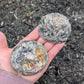 Agate and Quartz Oco Geode Pair from Rio Grande do Sul, Brazil