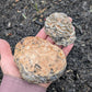 Agate and Quartz Oco Geode Pair from Rio Grande do Sul, Brazil