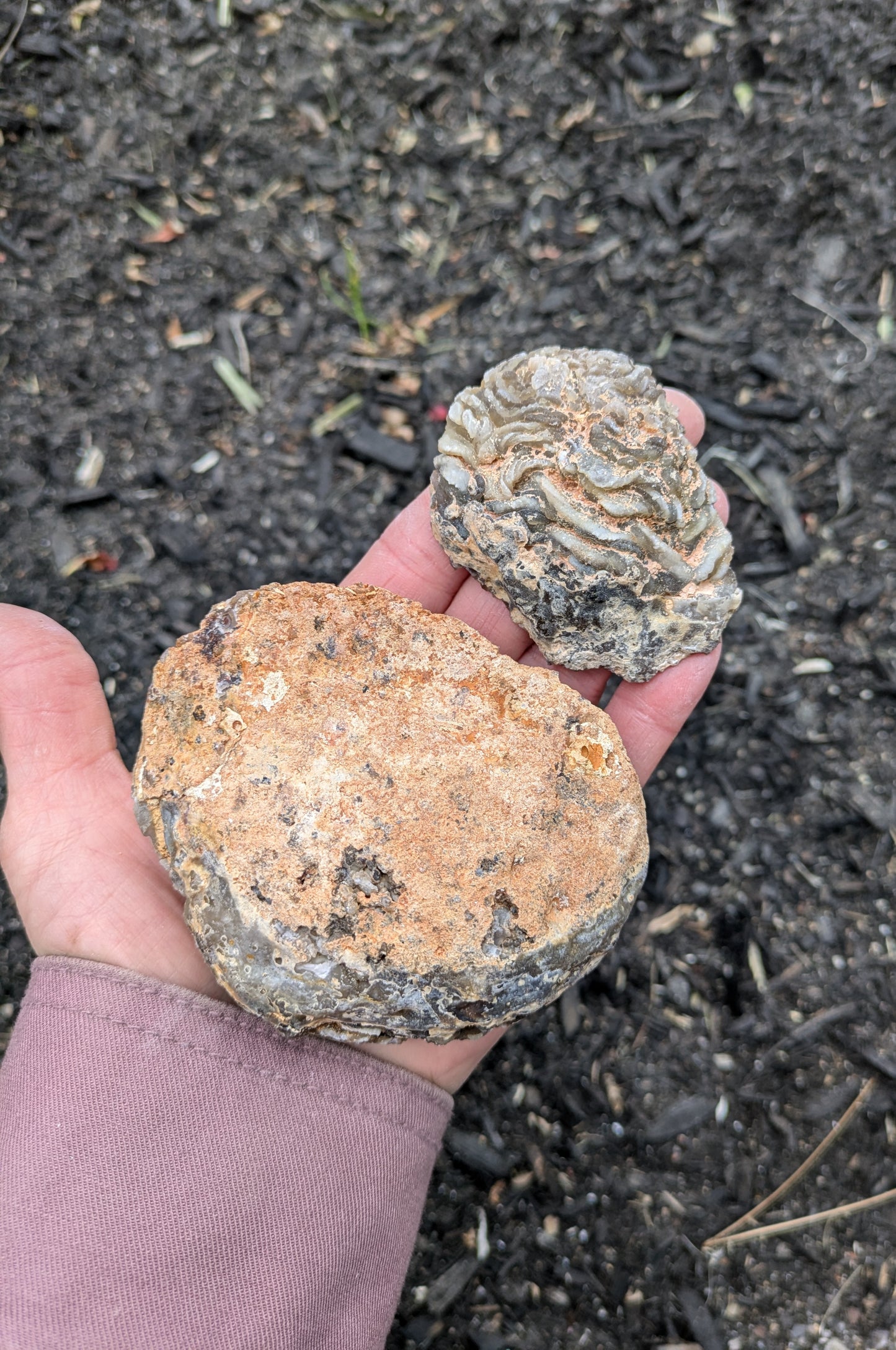 Agate and Quartz Oco Geode Pair from Rio Grande do Sul, Brazil