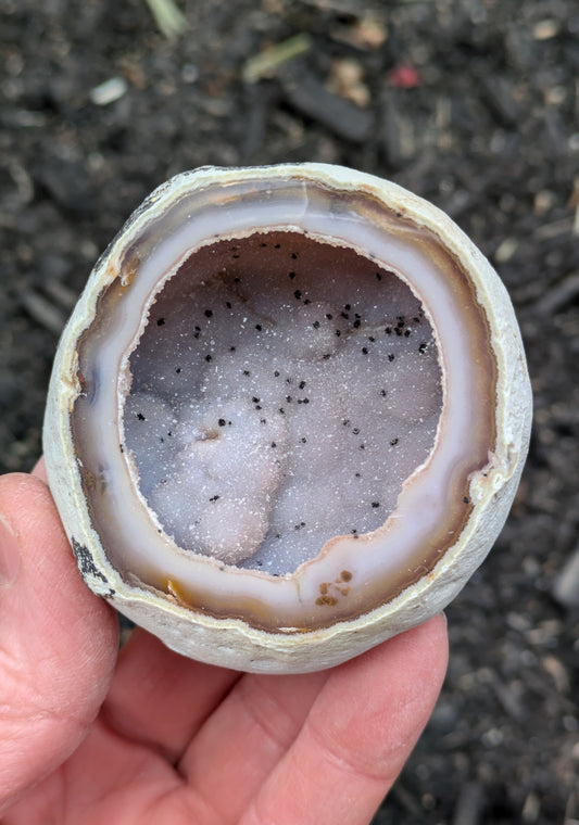 Agate Drusy Geode from Rio Grande do Sul, Brazil