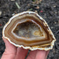 Agate Drusy Geode from Rio Grande do Sul, Brazil