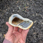 Agate Drusy Geode from Rio Grande do Sul, Brazil