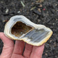 Agate Drusy Geode from Rio Grande do Sul, Brazil