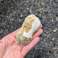 Agate Drusy Geode from Rio Grande do Sul, Brazil