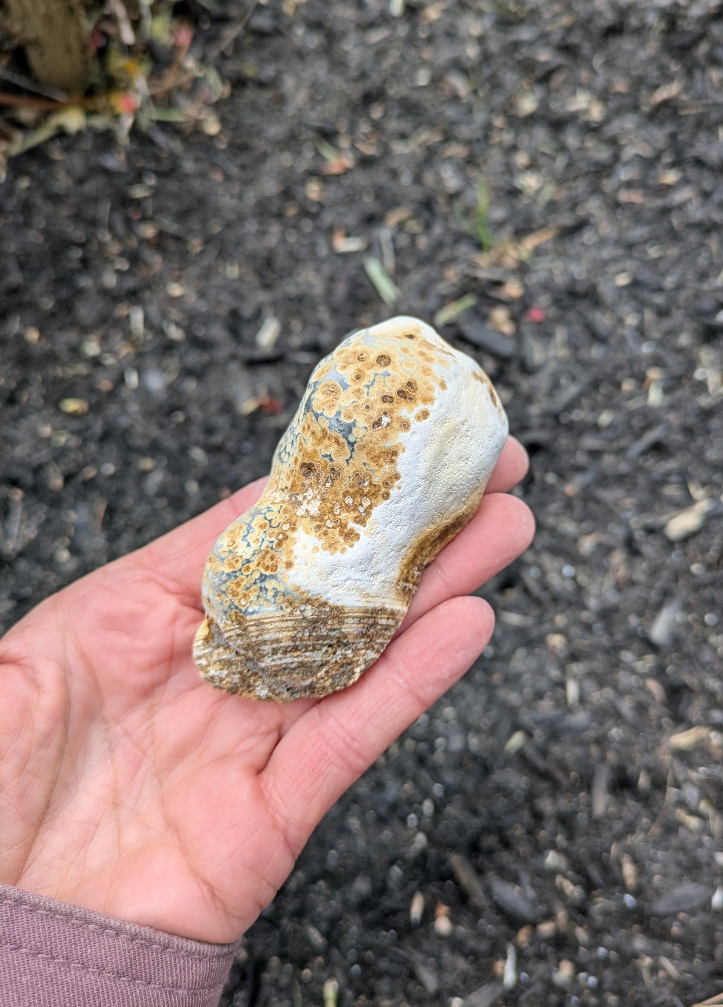 Agate Drusy Geode from Rio Grande do Sul, Brazil